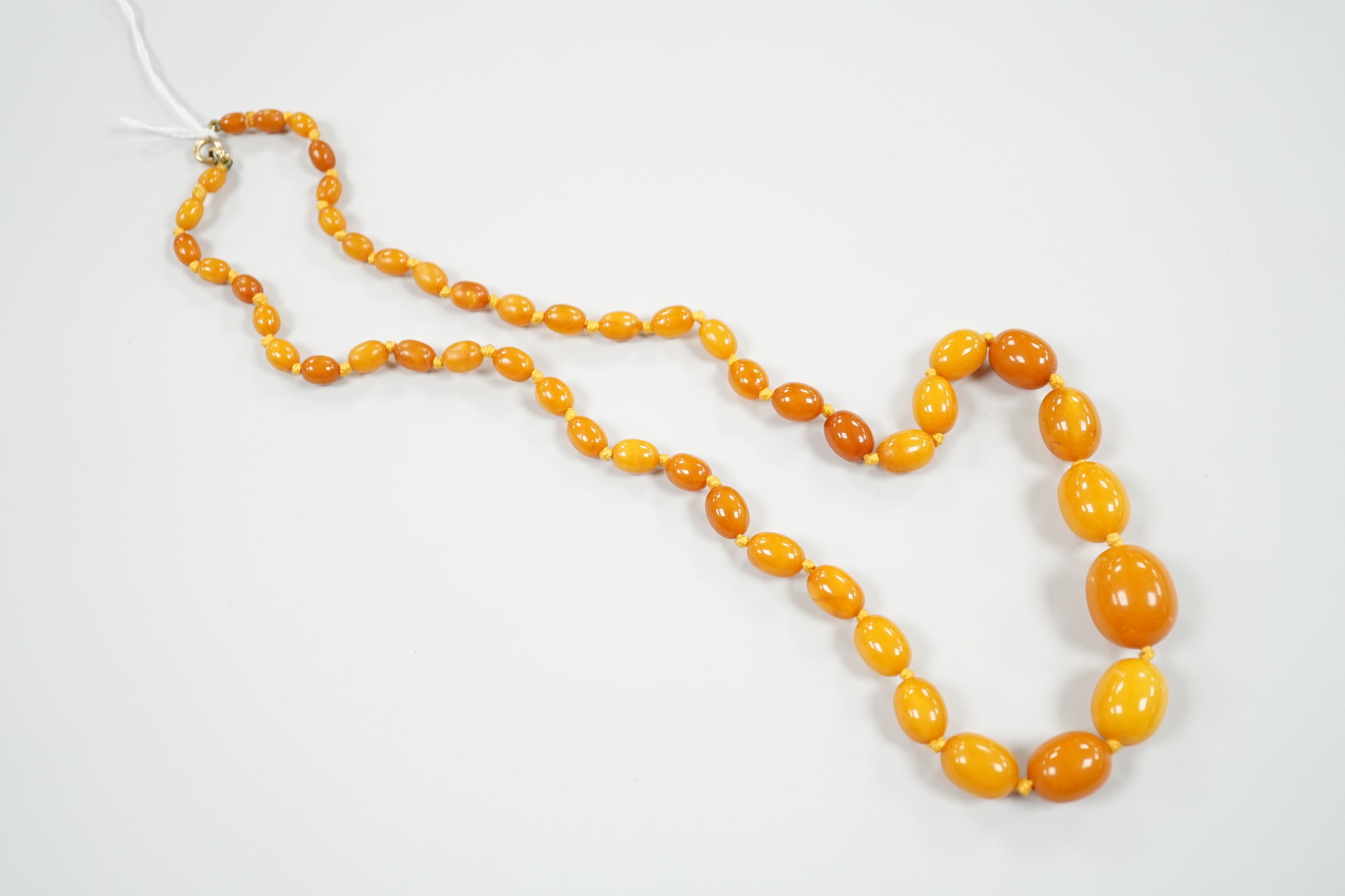 A single strand graduated amber bead necklace, 60cm, gross weight 26 grams.